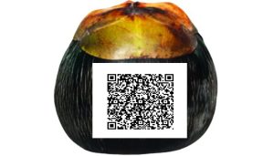 Scan for Donation 