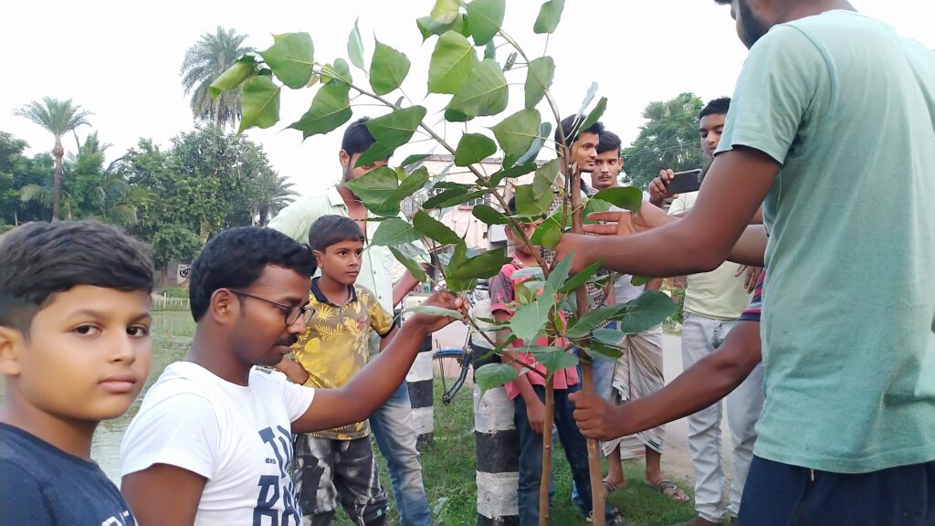 Native Tree Plantation and Preservation
