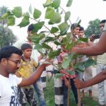 Native Tree Plantation and Preservation