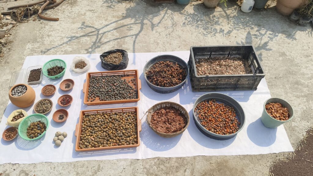 Seed Bank
