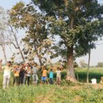 Green Village Adoption
