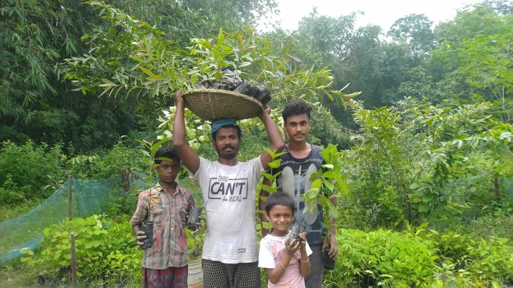 Free Native Plant Nursery