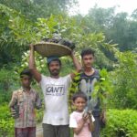 Free Native Plant Nursery
