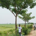 Green Murshidabad Movement