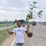 Mega Native Tree Plantation Drive