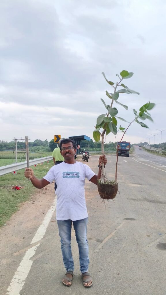 Mega Native Tree Plantation Drive