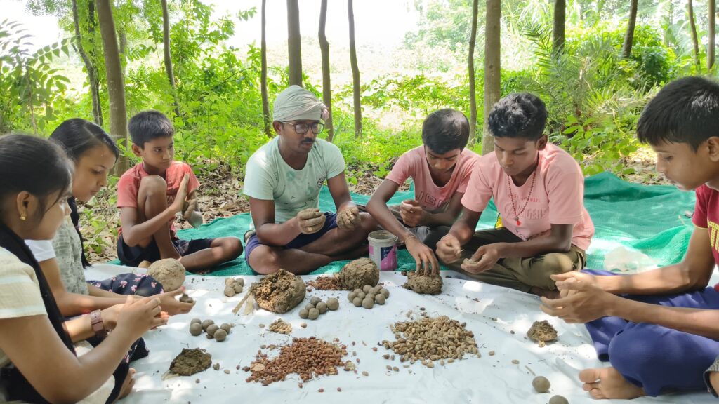 Native Seed Ball Project
