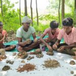 Native Seed Ball Project