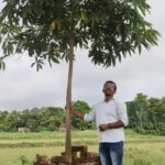 Adopt A Tree Campaign