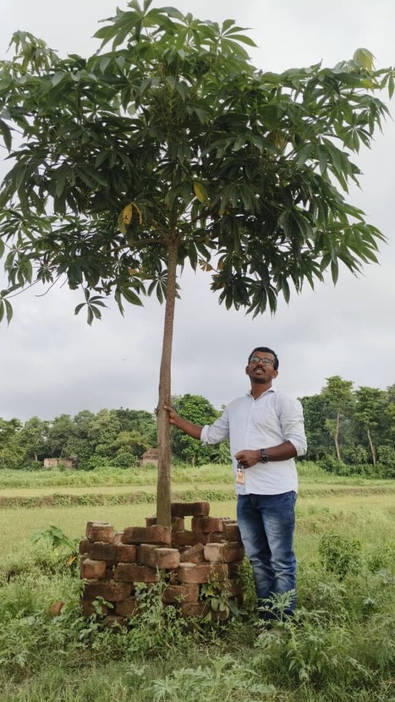 Adopt A Tree Campaign