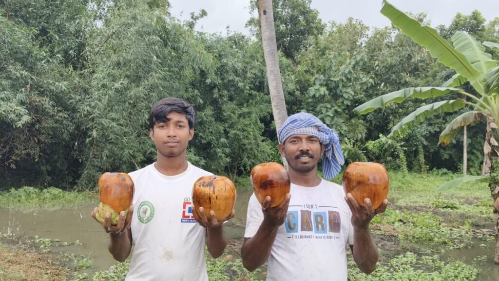 Native Palm Seed Plantation Campaign
