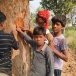 Launch of the Climate Internship Program